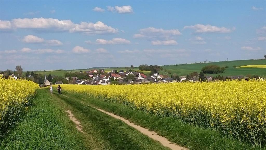 Ferienwohnung Maifeld Wierschem Exterior foto